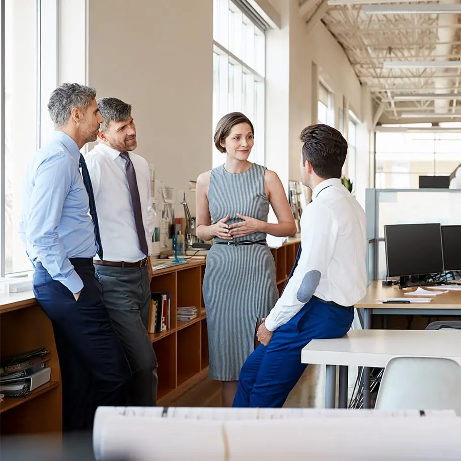 Consultants Talking with Client